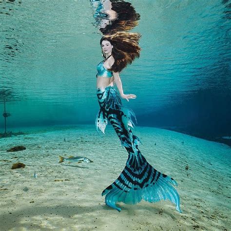 Long before Disney World became the staple of Florida ’s tourism industry, there was Weeki Wachee, the City of Live Mermaids. Since opening its doors in 1947, Weeki Wachee has attracted ...